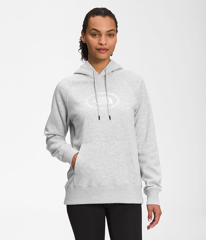 Sudadera Con Capucha The North Face Mujer Gris Claro Novelty Graphic 46089FDCO